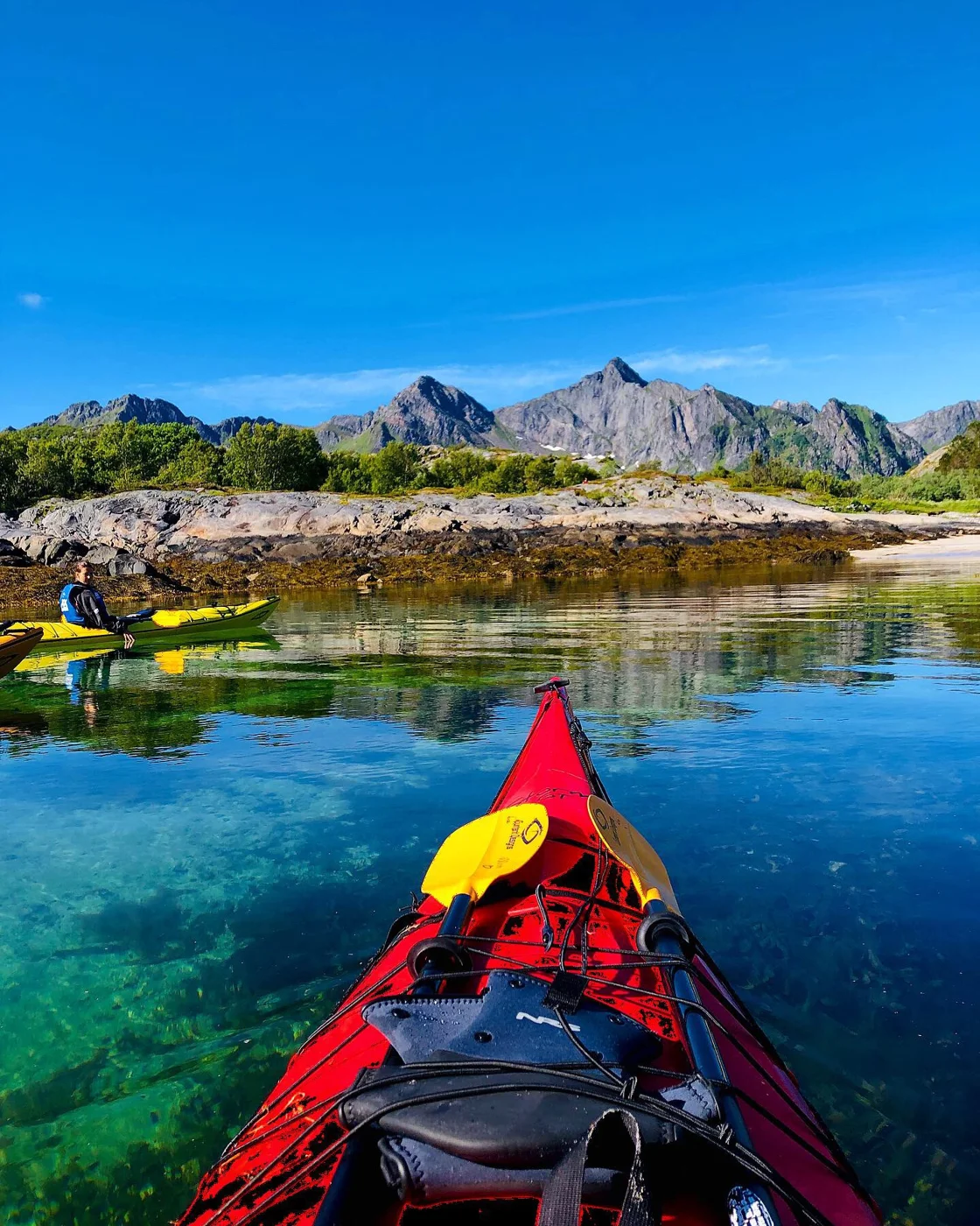 Natursafari kajakk Henningsvær
